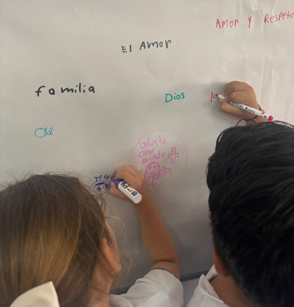 e0319c23-5c53-49e1-a50f-80c824b8db51